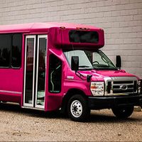 pinkpartybuses