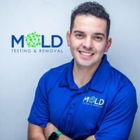 bestlamoldtesting
