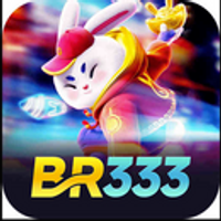 br333co