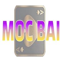 myopinionscarlcom