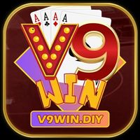 v9windiy