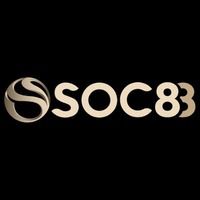 soc88ferragamosbelts