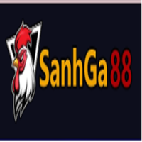 sanhga88store