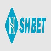mshbet800com