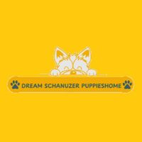 Dream Schnauzer Puppies