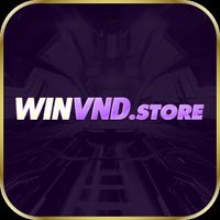 winvndstore