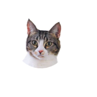 thomasarlo