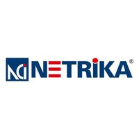 netrikaconsultingindia