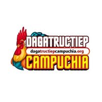 dagatructiep1