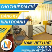 namvietluat1