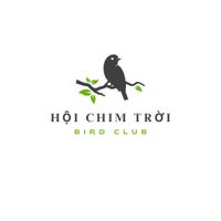 hoichimtroicom