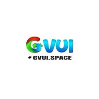 gvuispace
