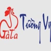 gatatuongvyvn