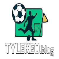 tylekeoblogvn