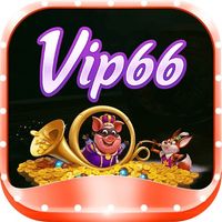 vip66diy