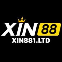 xin881ltd1