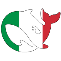 deepseekitaliano