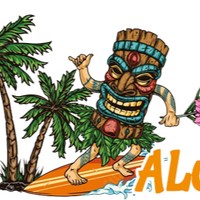 nflhawaiianshirtgear