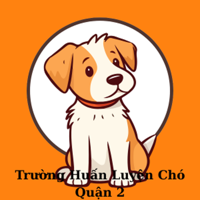 truonghuanluyenchoq2