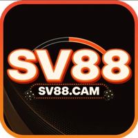 SV88cam 0