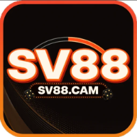 SV88cam1v