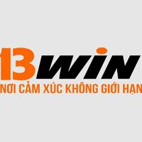 13windomains