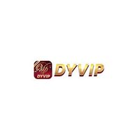dyvipnetbr1
