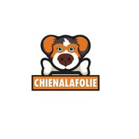 chienalafolie 1