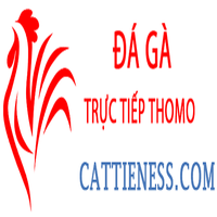dagacattie