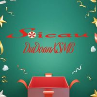 soicaududoanxsmb