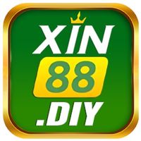 xin88diy
