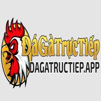 dagatructiepapp