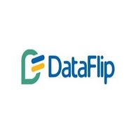 dataflip
