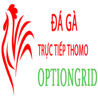 dagaoption
