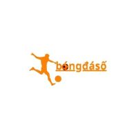 bongdasoresearchltc