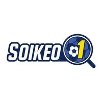 soikeowintip