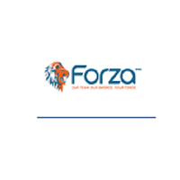 forzabuilt