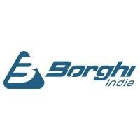 borghiindia3