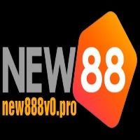 New888v0pro