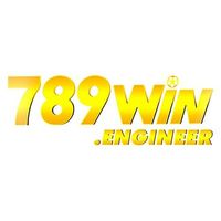 789winengineerr