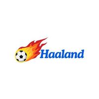 haalandceo1