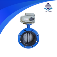Van Bướm Điều Khiển Điện