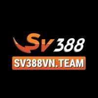 sv388vnteam1