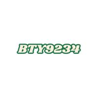 bty9234net