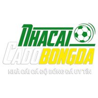 egyptsportsnetworknet