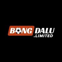 bongdalusystems