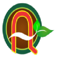 maccaanhquoc