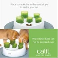 catitsenses20digger