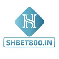 shbet800in