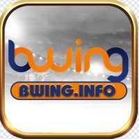 bwinginfo1
